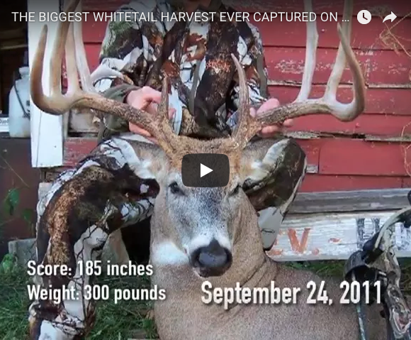 Biggest Whitetail Harvest Caught on Trail Camera