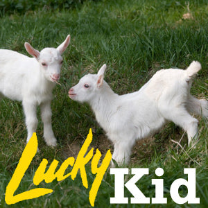 Lucky Kid