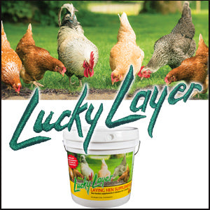 Lucky Layer