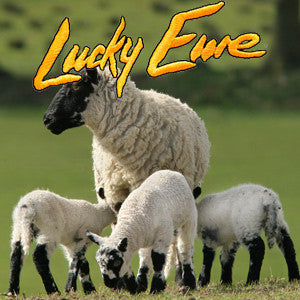Lucky Ewe