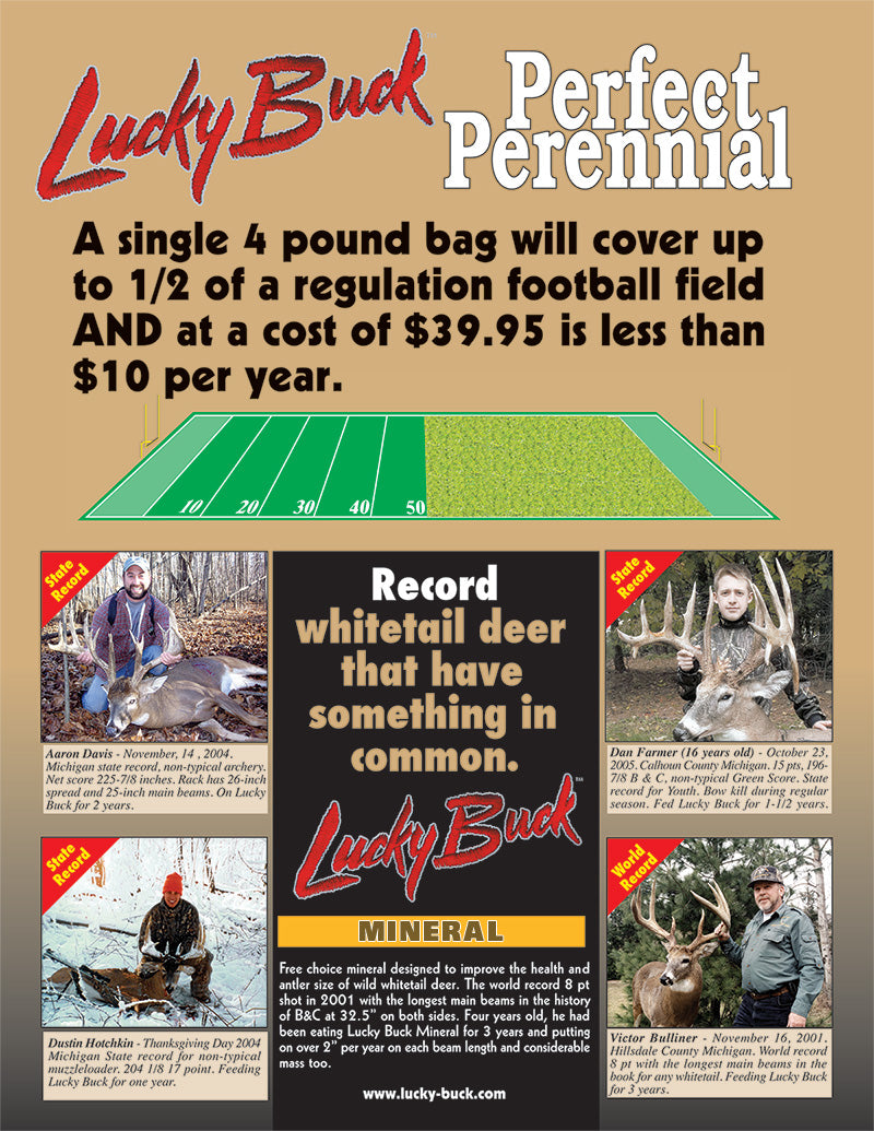 Perfect Perennial